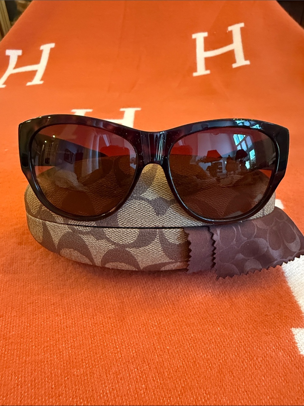 COACH Hayden Sunglasses HC 8050 Dark Tortoise 5001/13 Women’s NWOT Case & Cloth